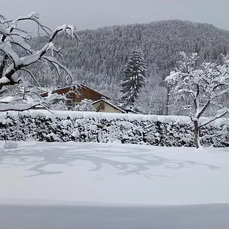 Vista Monte